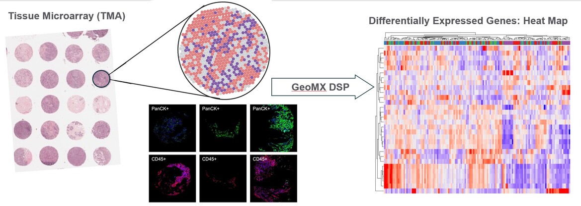 spatial omics workflow